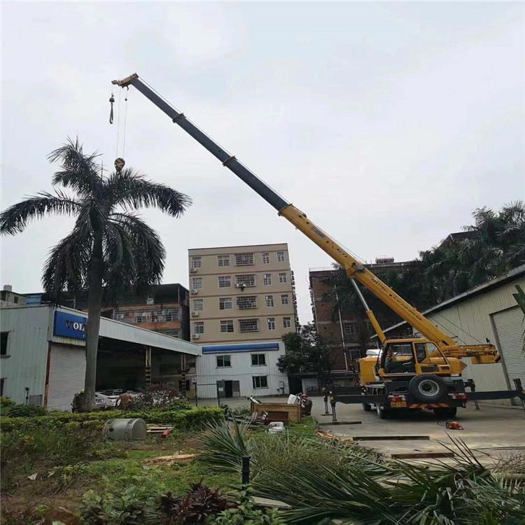 东兰树木移栽装卸